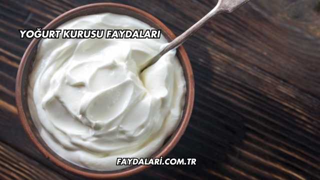 Yoğurt Kurusu Faydaları