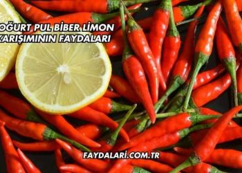 Yoğurt Pul Biber Limon Karışımının Faydaları