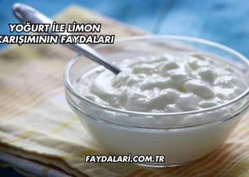Yoğurt ile Limon Karışımının Faydaları