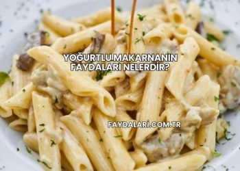 Yoğurtlu Makarnanın Faydaları nelerdir?