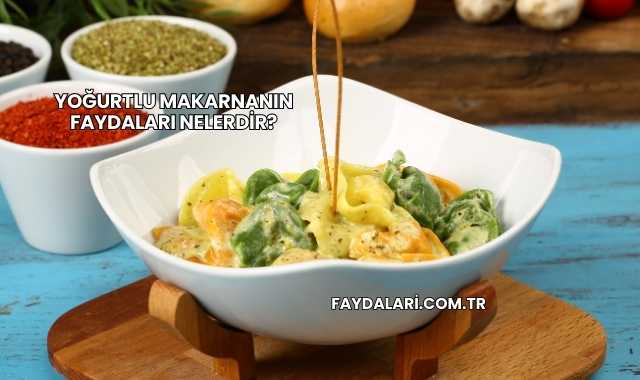 Yoğurtlu Makarnanın Faydaları nelerdir?