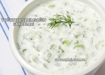 Yoğurtlu Sarımsağın Faydaları