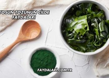 Yosun Tozunun Cilde Faydaları
