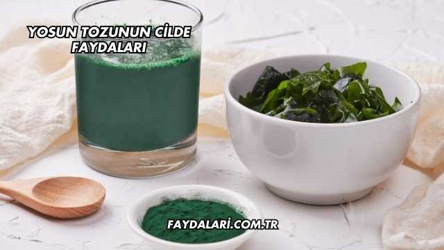Yosun Tozunun Cilde Faydaları