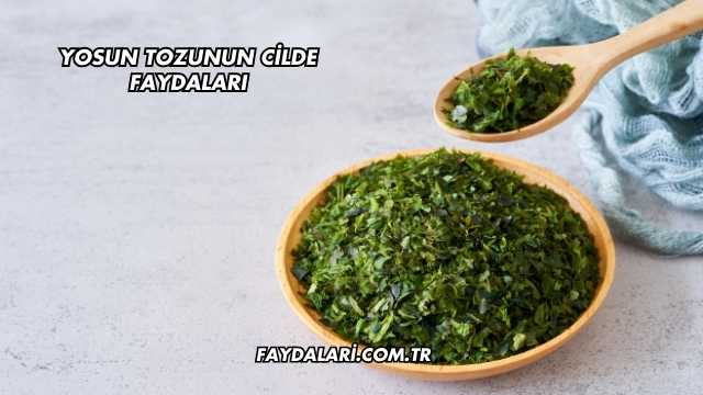 Yosun Tozunun Cilde Faydaları