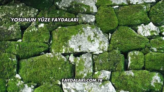 Yosunun Yüze Faydaları
