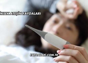 Yüksek Ateşin Faydaları