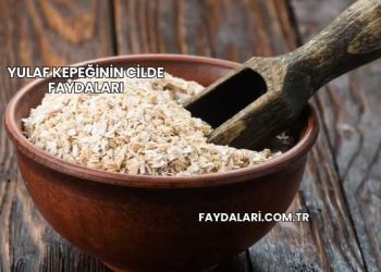 Yulaf Kepeğinin Cilde Faydaları