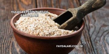 Yulaf Kepeğinin Cilde Faydaları