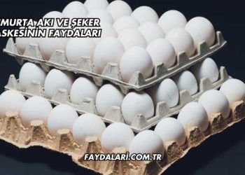 Yumurta Akı ve Şeker Maskesinin Faydaları