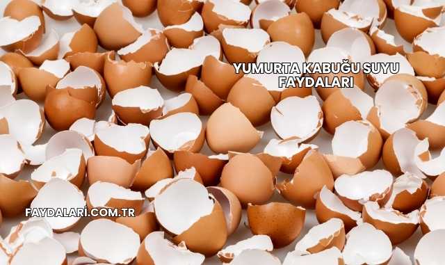 Yumurta Kabuğu Suyu Faydaları