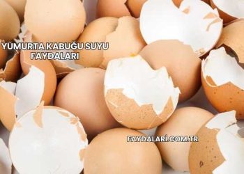 Yumurta Kabuğu Suyu Faydaları