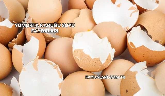 Yumurta Kabuğu Suyu Faydaları