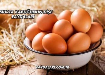 Yumurta Kabuğunun Dişe Faydaları