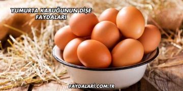 Yumurta Kabuğunun Dişe Faydaları