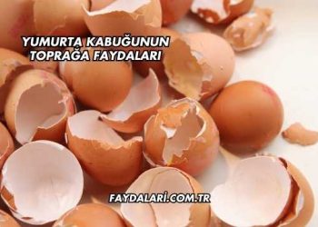 Yumurta Kabuğunun Toprağa Faydaları