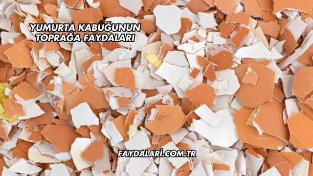 Yumurta Kabuğunun Toprağa Faydaları