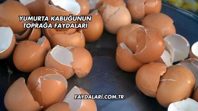 Yumurta Kabuğunun Toprağa Faydaları