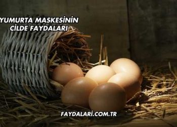 Yumurta Maskesinin Cilde Faydaları
