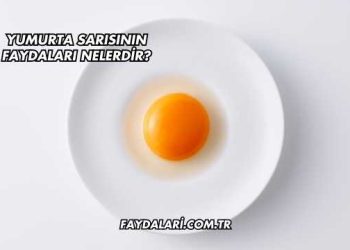 Yumurta Sarısının Faydaları Nelerdir?