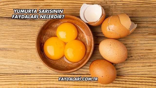 Yumurta Sarısının Faydaları Nelerdir?