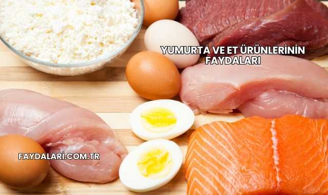 Yumurta ve Et Ürünlerinin Faydaları
