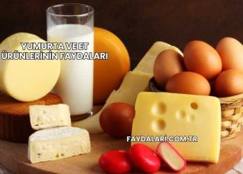 Yumurta ve Et Ürünlerinin Faydaları