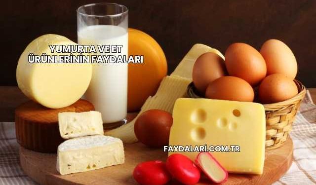 Yumurta ve Et Ürünlerinin Faydaları