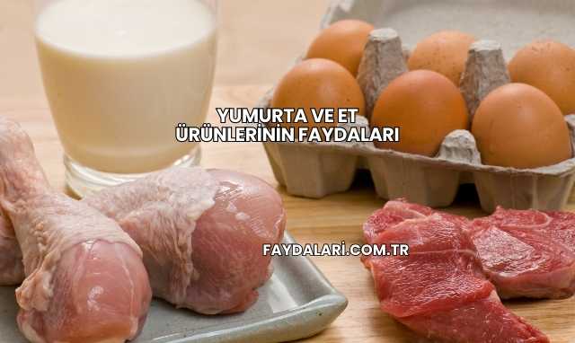 Yumurta ve Et Ürünlerinin Faydaları