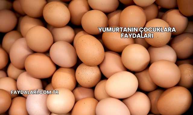 Yumurtanın Çocuklara Faydaları