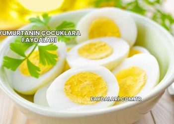 Yumurtanın Çocuklara Faydaları