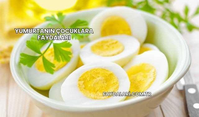 Yumurtanın Çocuklara Faydaları
