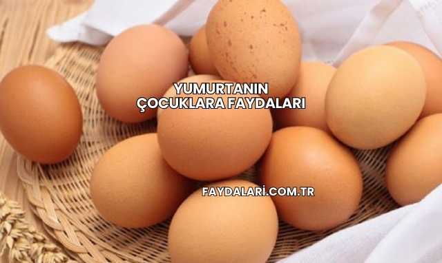 Yumurtanın Çocuklara Faydaları