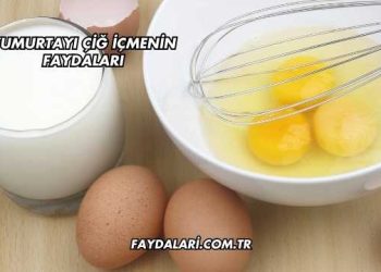 Yumurtayı Çiğ İçmenin Faydaları