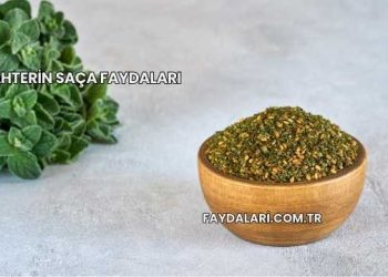 Zahterin Saça Faydaları