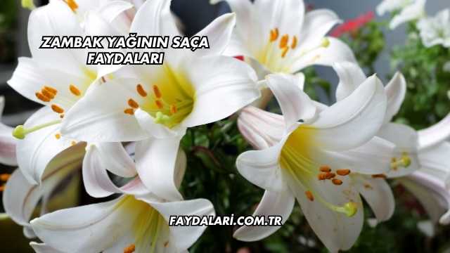 Zambak Yağının Saça Faydaları