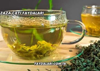 Zaza Çayı Faydaları