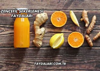 Zencefil Şekerlemesi Faydaları