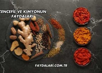 Zencefil Ve Kimyonun Faydaları