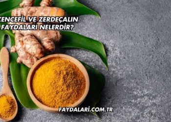 Zencefil Ve Zerdeçalın Faydaları Nelerdir?