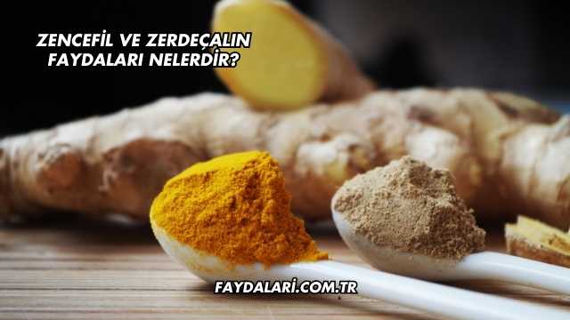 Zencefil Ve Zerdeçalın Faydaları Nelerdir?
