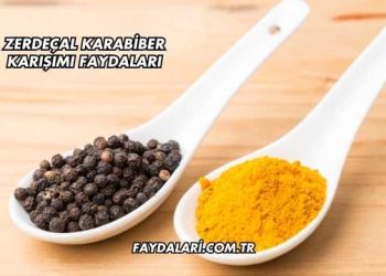 Zerdeçal Karabiber Karışımı Faydaları