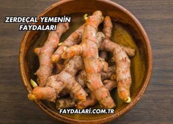 Zerdeçal Yemenin Faydaları