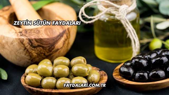 Zeytin Sütün Faydaları