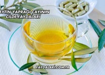 Zeytin Yaprağı Çayının Cilde Faydaları