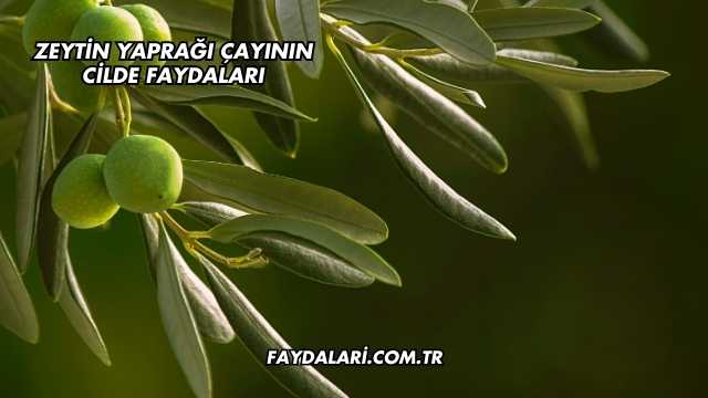 Zeytin Yaprağı Çayının Cilde Faydaları