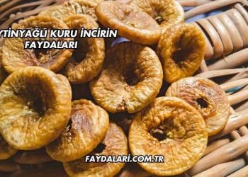 Zeytinyağlı Kuru İncirin Faydaları