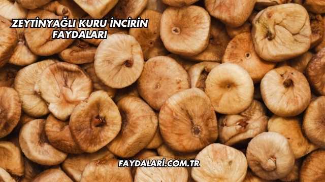 Zeytinyağlı Kuru İncirin Faydaları