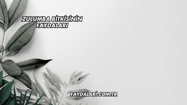 Zulumba Bitkisinin Faydaları