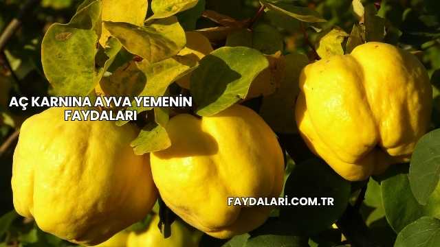 Aç Karnına Ayva Yemenin Faydaları
